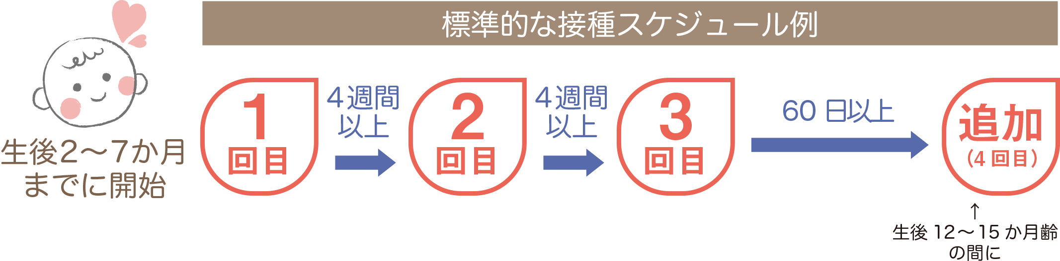 肺炎球菌標準的な接種スケジュール